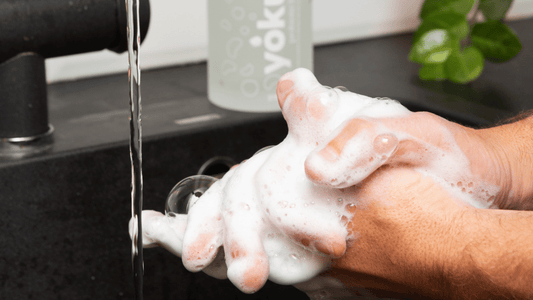 Everything you need to know about YOKUU's probiotic hand soap