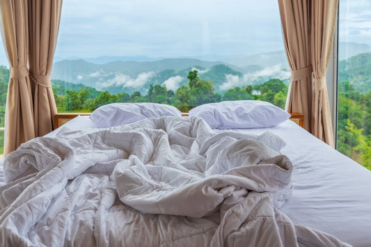 What happens to your microbiome when you walk into a holiday home