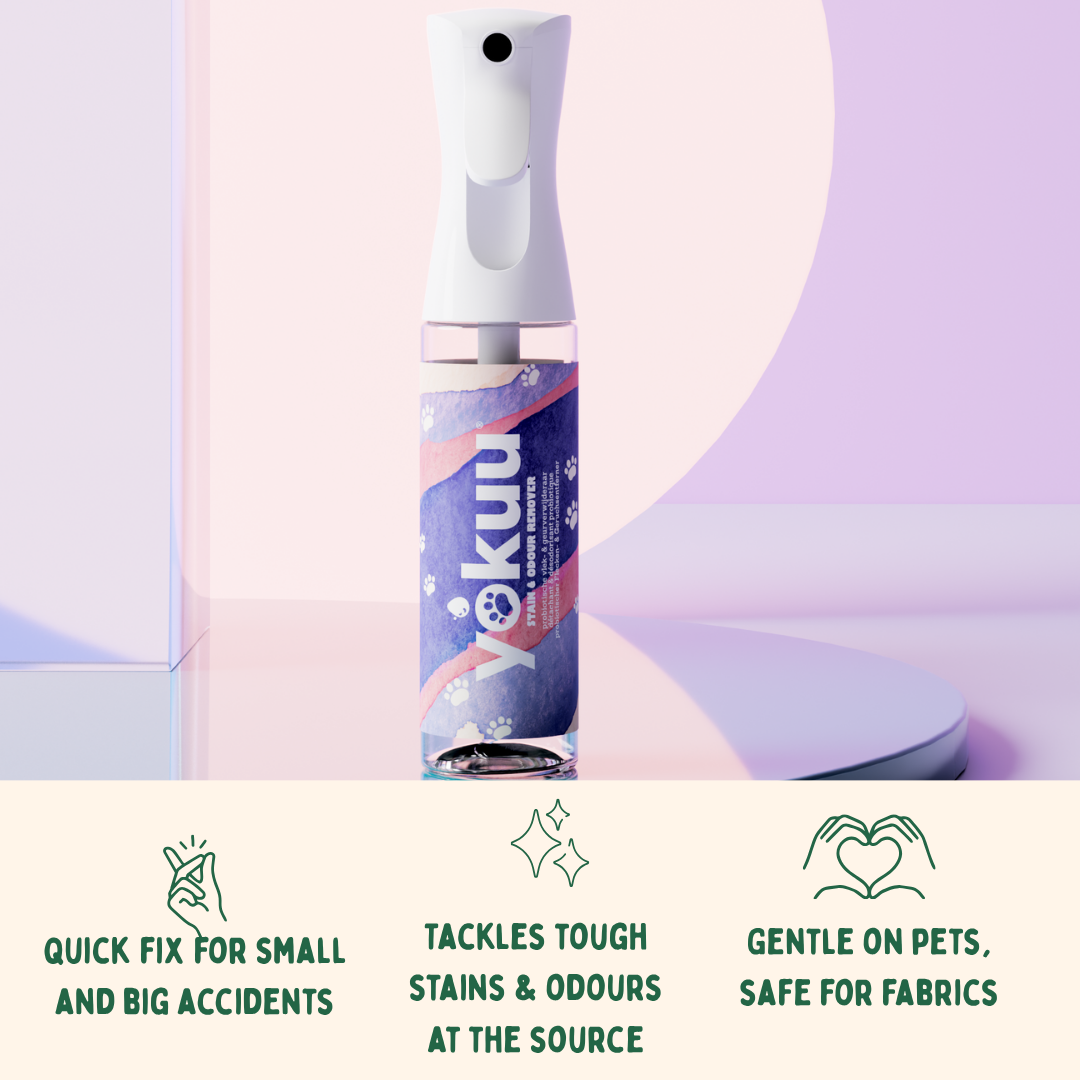 Stain & Odour Remover for Pets