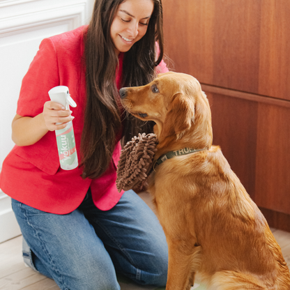 Pet Refresher